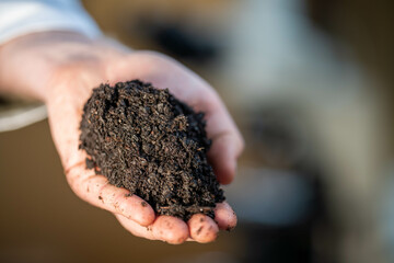 soil scientist holding a soil in a hand in a soil laboratory
