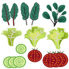 Lettuce, lettuce, tomato, cucumber