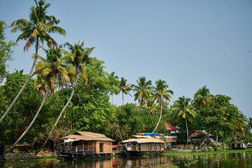 boat house on the waters of the backwaters of Kerala, sailing surrounded by palm trees