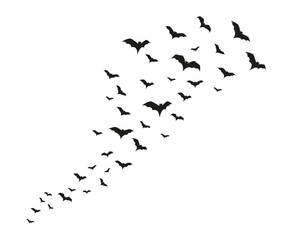 Crowd of flying bats. Halloween clipart. Isolated vector and PNG on transparent background. - obrazy, fototapety, plakaty