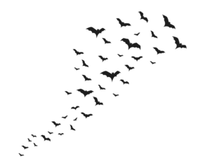 Schilderijen op glas Crowd of flying bats. Halloween clipart. Isolated vector and PNG on transparent background. © Li Artis