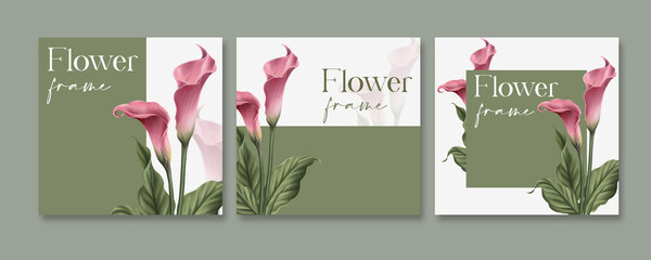 Elegant  soft pink Tulip flower for social media post template with copy space