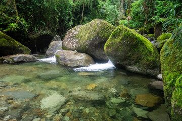 Naklejka na ściany i meble Beautiful view to tropical green rainforest crystal clear water pool