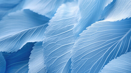 Blue Palm Leaf Wallpaper, Background, Illustrations, HD