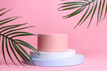 Artistic presentation background with a round pink podium with palm leaves and shadows. Empty...