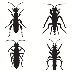 Earwig silhouettes and icons. Black flat color simple elegant Earwig animal vector and illustration.