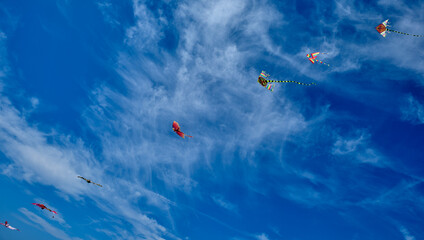 Kite - dragon flying high in the blue sky