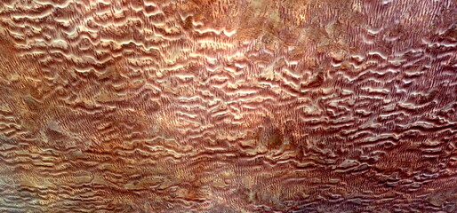 apocalypse,  photography of the deserts of Africa from the air. aerial view of desert landscapes,...