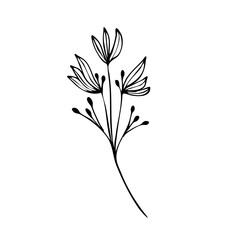 Obraz premium Line Art Floral Leaves Flower Vector Illustration 