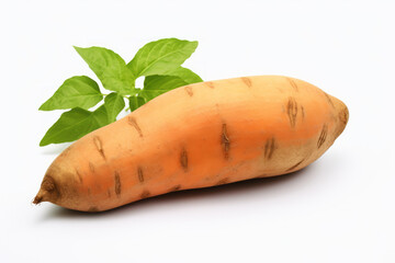 Deliciously Roasted Sweet Potato on a Clean White Background