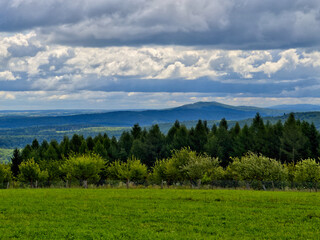 Landscape with trees and clouds. rural areas. Panorama of hills covered with trees with green meadows. Bieszczady, Poland