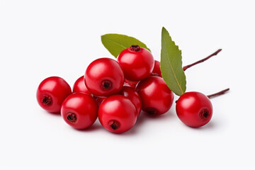 Vibrant Cranberry Isolated on White Background