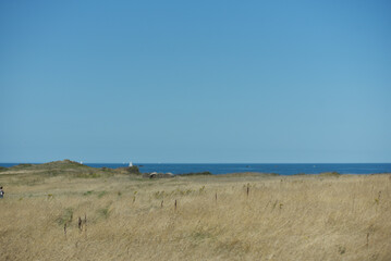 Pointe de la Varde à Saint-Malo - Champs