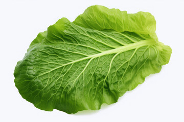 Vibrant Cabbage Leaf on a Clean White Background