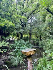 Goliath Falls Cornwall near Liskeard England UK Green Nature Outdoors Trees Leaves