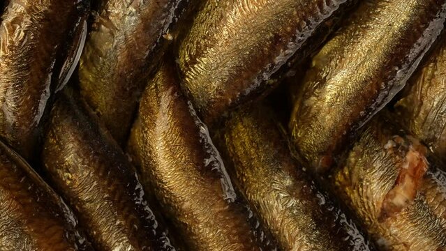 Smoked fish sprats in oil, slider shot