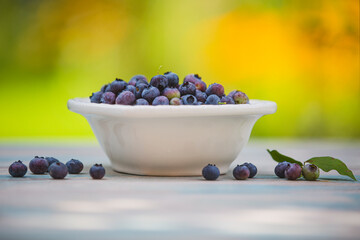 Fresh blueberries in a bowl