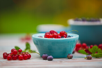 Yogurt with granola and fresh berries on the garden table