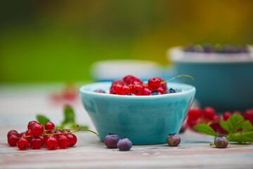 Yogurt with granola and fresh berries on the garden table