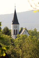 Church in the village of Horní Maxov among the trees