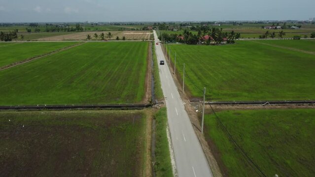 Aerial follow shot of a vehicle surrounded by lush green paddy fields