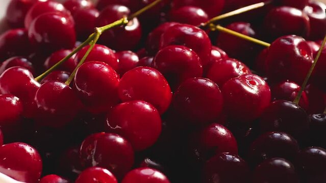 close-up ripe cherries on a branch fall on a plate with a bunch of berries. slow motion.bunch of cherries macro. falling berries