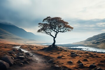 un arbre solitaire assis au sommet d'une colline, avec une brume mystérieuse en arrière plan , ia