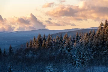 Papier Peint photo Lavable Forêt dans le brouillard Golden hour with winter view on Sumava mountains