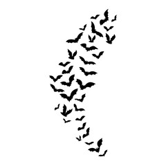 Obraz na płótnie Canvas flying bat silhouette. flock of bats. Halloween vector illustration