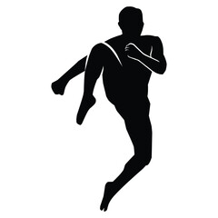martial arts movement silhouette. vector image