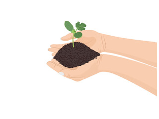 Soil for planting plants in the hands of a woman.