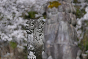 宮昌寺