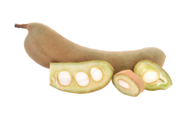 Giant tamarind on the tamarind tree branch, tamarind for cooking To taste sour food transparent png