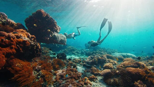 Couple freediving. Young fit freedivers man and woman swim underwater over the healthy coral reef near the island of Nusa Penida in Bali, Indonesia