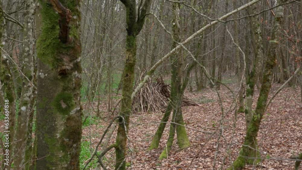 Aufkleber wilderness a frame shelter built up with broken dry branches between mossy trees in forest