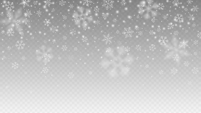 Vector snowfall from snowflakes and snow flakes of different shapes and sizes on a transparent background.