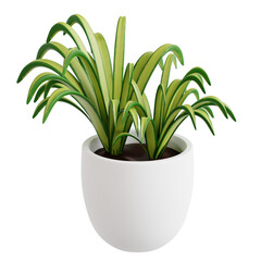 Air-Purifying Spider Plant Indoor Plant 3D illustration
