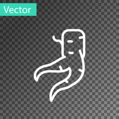 White line Ginger root icon isolated on transparent background. Vector