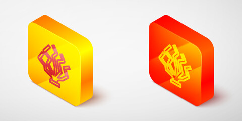 Isometric line Coral icon isolated on grey background. Yellow and orange square button. Vector