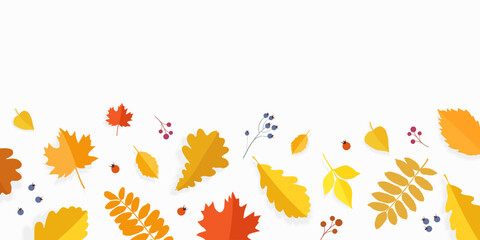 Colorful leaves and berries on a white background. Vector banner with place for your text.
