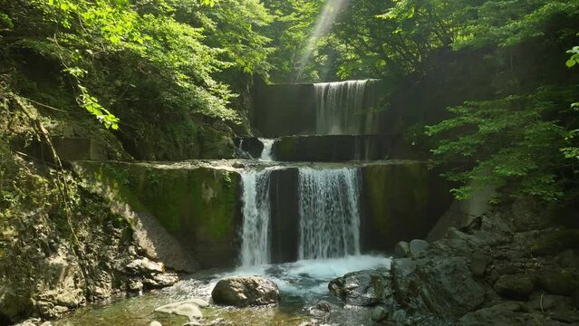 森の中の砂防ダムから流れ落ちる滝と川