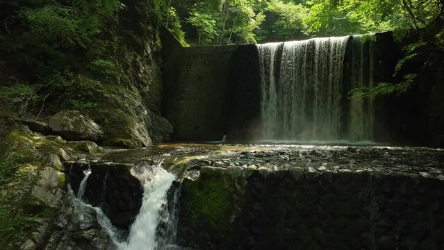 森の中の砂防ダムから流れ落ちる滝と川