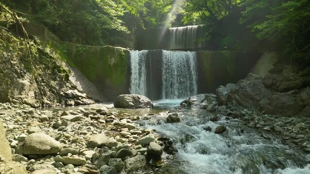 森の中の砂防ダムから流れ落ちる滝と川