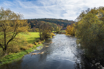 The Danube near Gutenstein in the autumnal Upper Danube Valley, Upper Danube Nature Park, Sigmaringen District, Swabian Alb, Baden-Wuerttemberg, Germany