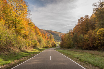 Fototapeta premium Country road through autumn forest in the Upper Danube Valley, Upper Danube Nature Park, Swabian Alb, Baden-Wuerttemberg, Germany