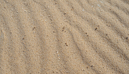 Sand on the beach for background. Brown beach sand texture as background. Close-up.