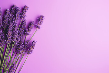 A  flat lay view of violet lavender flowers organised on a vibrant purple backdrop.