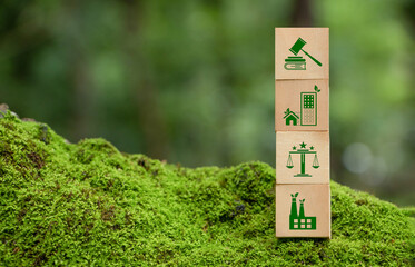 Wooden block with environmental law icons. Concept of international law environmental protection,...