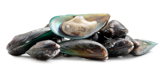steamed or cooked food of fresh beautiful green mussels in stack isolated on white background with clipping path