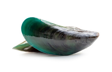 Raw food of fresh beautiful green mussels in stack isolated on white background with clipping path...